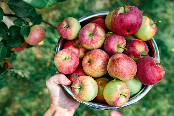 Muskoka  Gravenstein Apple White Balsamic Vinegar