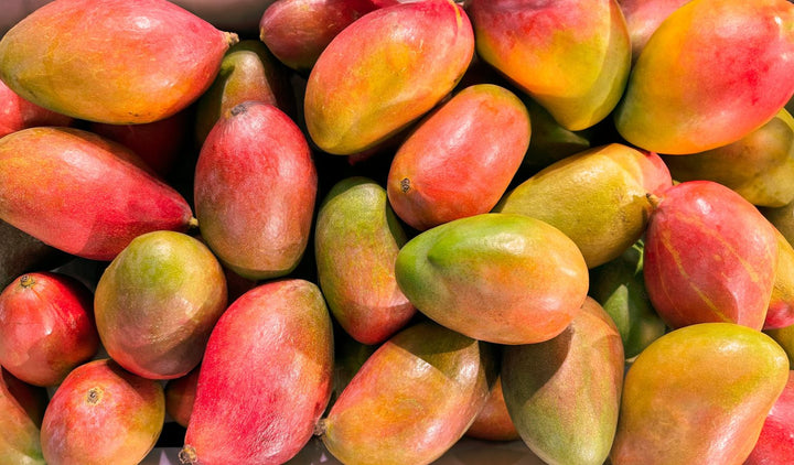 Muskoka  Alfoos Mango White Balsamic Vinegar